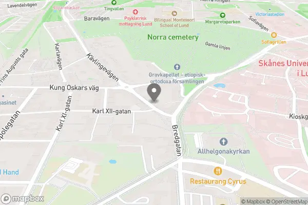 Lunds Vinkällare Amici - Lund