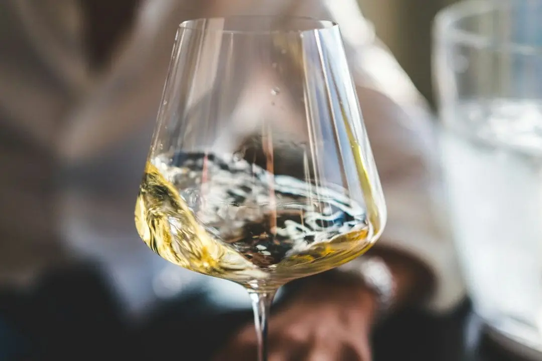 Vinsmakning 101 illustration